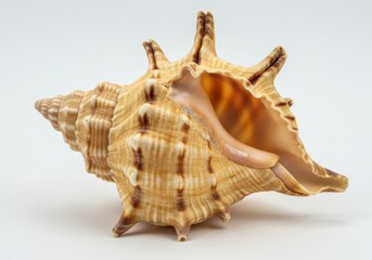 Detailed Triton with Spiked Exterior