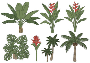 Tropical plants and flowers exotic jungle botanical elements for design