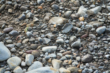 A view of a variety of river rocks and pebbles of various sizes, shapes and colors scattered on the ground, creating a textured background.