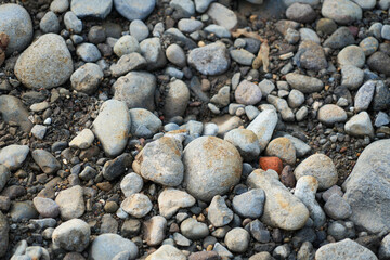 A view of a variety of river rocks and pebbles of various sizes, shapes and colors scattered on the ground, creating a textured background.