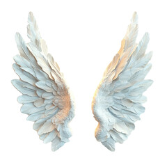 Fototapeta premium Two angel wings against a transparent background