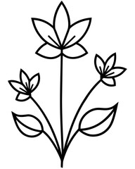 black and white flower