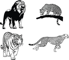 Big cats illustration featuring lion, leopard on tree branch, tiger walking, and cheetah running in detailed black and white. © fmfahim creatives