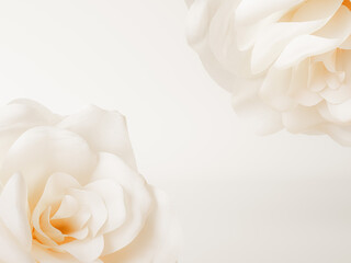 A pair of white roses with smooth, soft petals, presented on a clean beige background.
