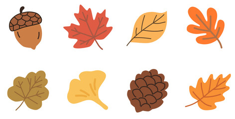 Cute Handdrawn Fall Elements Illustration Set of Acorn, Leaves and Cone