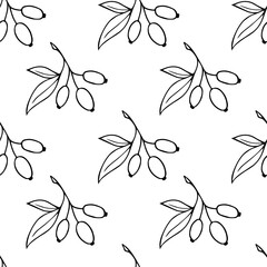 Pattern Hawthorn Berry Branches with Round Small Pome Fruits.