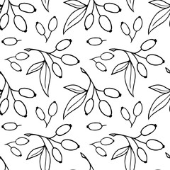 Pattern Hawthorn Berry Branches with Round Small Pome Fruits.