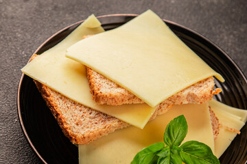 Sandwich cheese tasty snack fresh delicious gourmet food background on the table rustic top view copy space