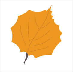 Orange Autumn Leaf Vector, Flat Minimal Decorative Illustration