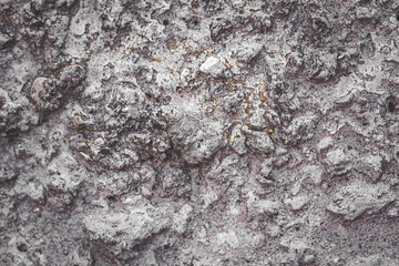 light gray concrete wall texture. Rough stone texture. Stone background. Macro photography.