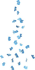 Scattered Blue Orchid Petals