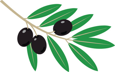 Black olive branch with green leaves vector illustration for food, agriculture, Mediterranean cuisine, natural product, organic farming and design