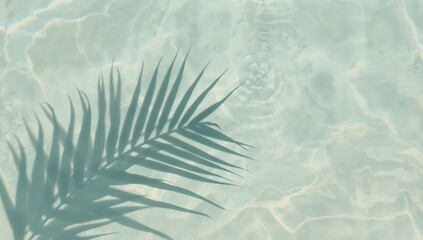 Aquatic Reflections, Shadowy Fronds. A Delicate Dance of Light and Abstract Forms.