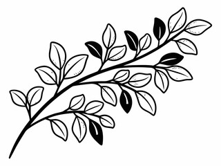 Flower black and white vector illustration