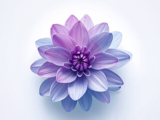 Fototapeta premium Floral Abstraction. Purple and Blue Hues, Delicate Petals and Soft Illumination.