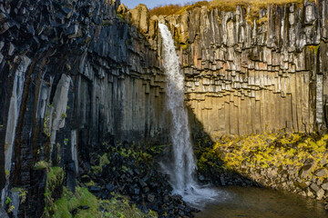 Svartifoss Waterfall Surrounded by Basalt Columns in Iceland