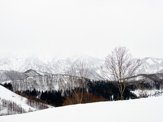 スキー場から見る雪山