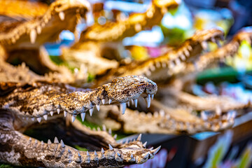 Street food sold at Ao Nang Landmark Night Market, Thailand