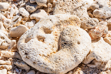 rye bread with sesame seeds