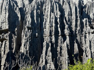 texture of the rock, tsingy
