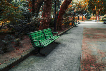 Empty green park bench on a paved pathway surrounded by autumn trees with colorful foliage, creating a calm and peaceful urban outdoor scene perfect for relaxation and nature walks