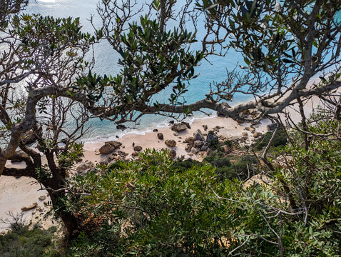 Scenic Overlook Through Leafy Branches to Secluded Sandy Beach and Turquoise Water with Scattered Rocks in Arrabida, Portugal