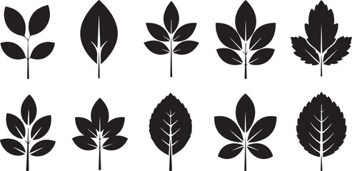 Collection of Black Silhouette Leaf Icons with Veins leaves nature