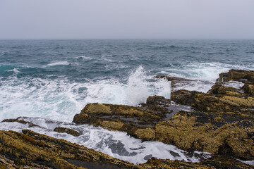 Russia, Murmansk region, Rybachy Peninsula. Cape Nemetsky, Barents Sea. August 2025