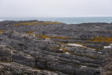 Russia, Murmansk region, Rybachy Peninsula. Cape Kekursky, Barents Sea. August 2025