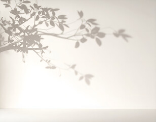 연한 미색 벽의 나무 그림자2