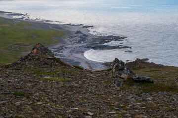 Russia, Murmansk region, Rybachy Peninsula, Cape Skorobeyevsky. Barents Sea. August 2025