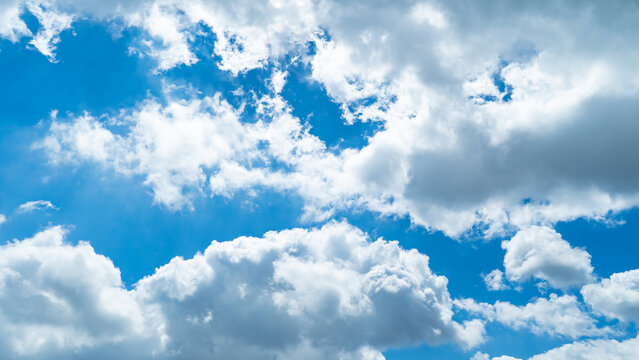 Fototapeta 青空　雲