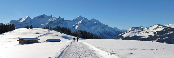 Winter hiking and sledging trail on Mount Wispile, Gstaad, Switzerland.