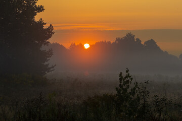 Bright Sunrise Over Autumn Forest at Field’s Edge