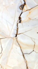 Elegant White Marble with Subtle Veins and Textures for Design Use