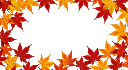 鮮やか紅葉 秋葉枠 白背景 美しい自然写真. AI Generated