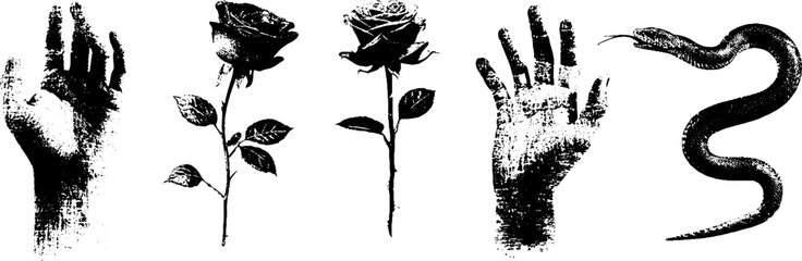 Fototapeta na wymiar Grunge black and white tattoo designs featuring hands roses and snake for artistic projects