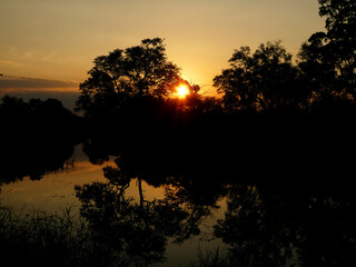 Golden sunset reflected in river with silhouetted trees