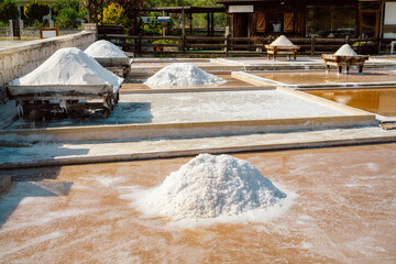 Salt Harvest on Traditional Evaporation Ponds in Rural Setting