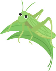 grasshopper on a leaf