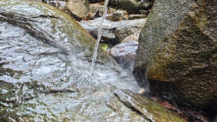 water flowing in the forest
