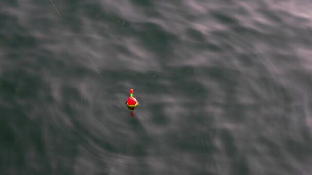 Single fishing float bobbing on the calm water. Close up shot 