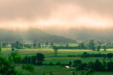 Beautiful view of morning light hitting fog, mountains, trees and green rice fields in the countryside in Chiang Rai. Northern Thailand.