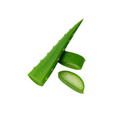 aloevera transparent on white background,aloe vera, png