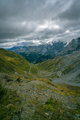Stelvio Pass road in the Italian Alps showing dramatic hairpin turns across grassy mountain slopes with high alpine peaks in the distance