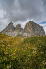 Alpine meadow with wildflowers leading to towering Sassolungo peaks in the Dolomites under cloudy dramatic sky creating scenic panorama