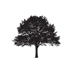 Fototapeta premium Ash Vector (6).eps