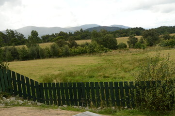 Obraz premium Aviemore countryside, Scotland, August 2025