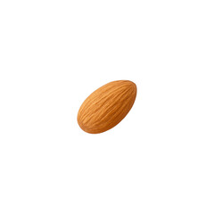 Almond,nuts  on transparent background.Collection of delicious almonds isolated on a transparent background. The concept of delicious and healthy food.