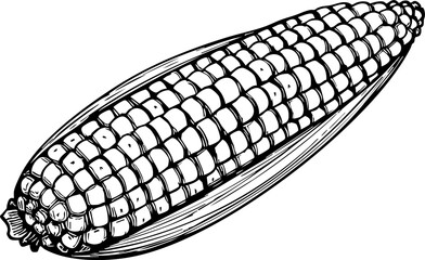 Harvesting fresh corn a culinary delight from farm fields food photography natural setting close-up perspective